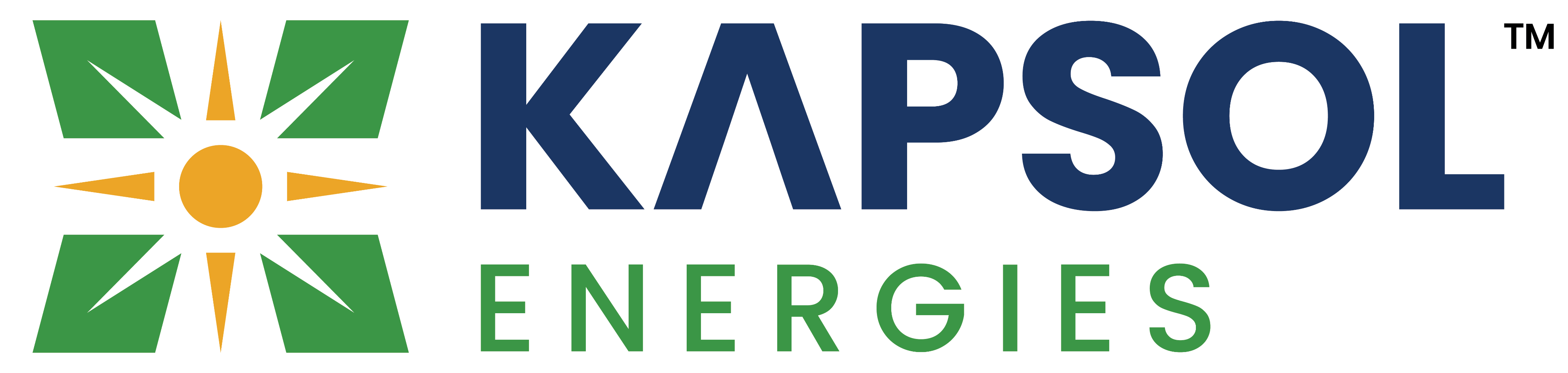 KAPSOL Logo